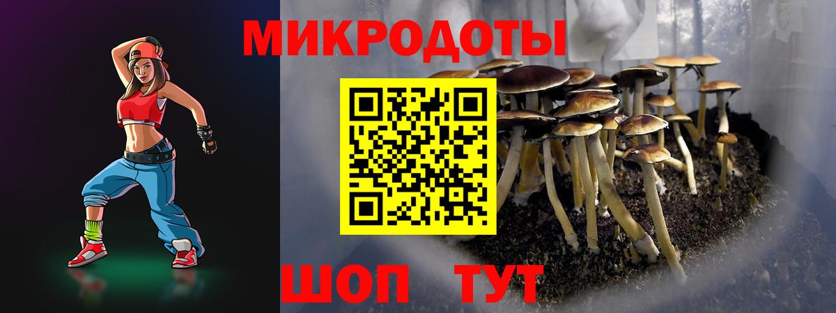 Галлюциногенные грибы мухоморы  Вход с VPN  Магадан 